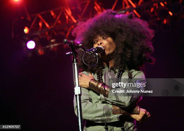 Erykah Badu during Millions More Movement We Are Family Grand Finale Concert - Show at MCI Center in Washington, D.C., United States.