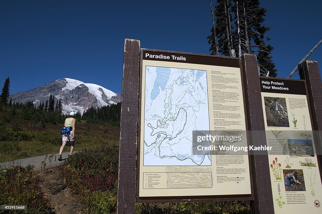 USA, Washington State, Mount Rainier National Park, Paradise...