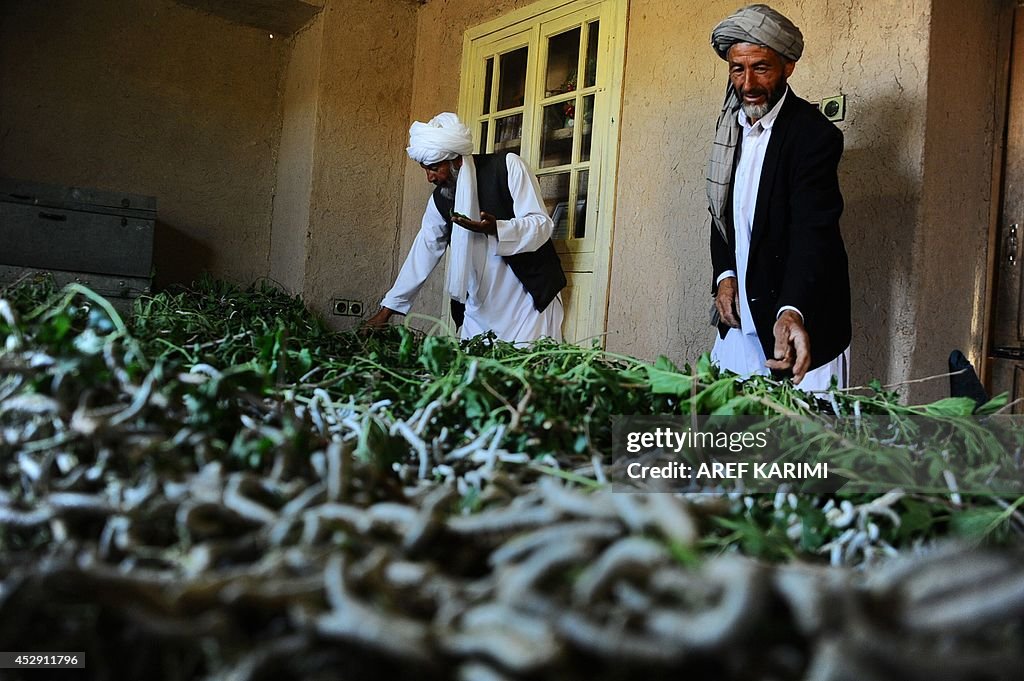 AFGHANISTAN-ECONOMY-SILK