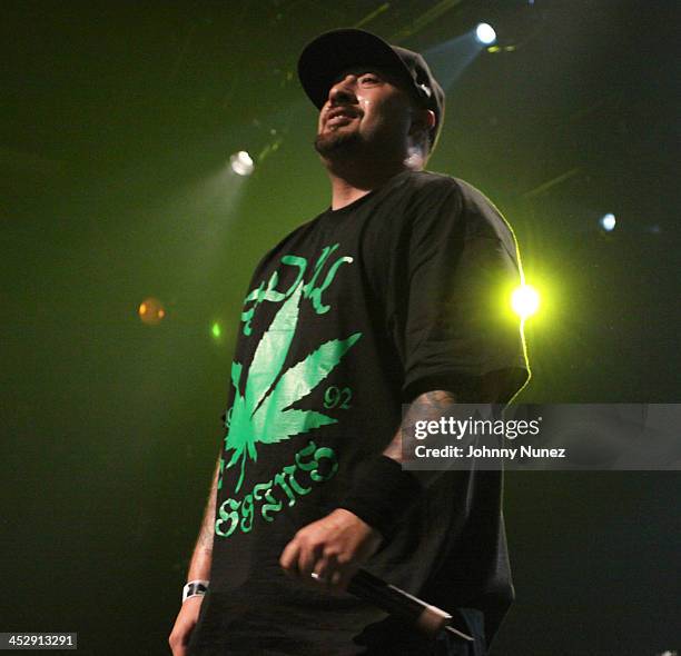 Rapper B-Real of Cypress Hill performs at the Nokia Theatre on October 30, 2009 in New York City.