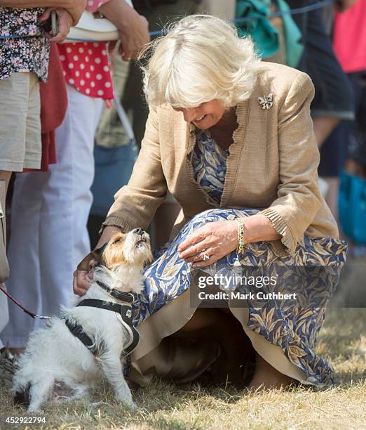 Camilla, Duchess of Cornwall attends the Sandringham Flower Show at Sandringham on July 29, 2014 in King's Lynn, England.Ê