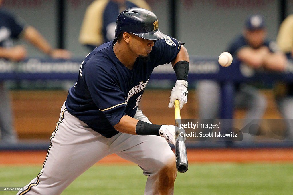 Milwaukee Brewers v Tampa Bay Rays