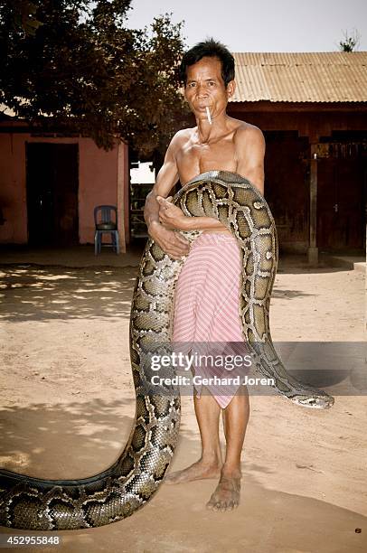 Cambodia Python Cambodia Python Photos and Premium High Res Pictures - Getty Images