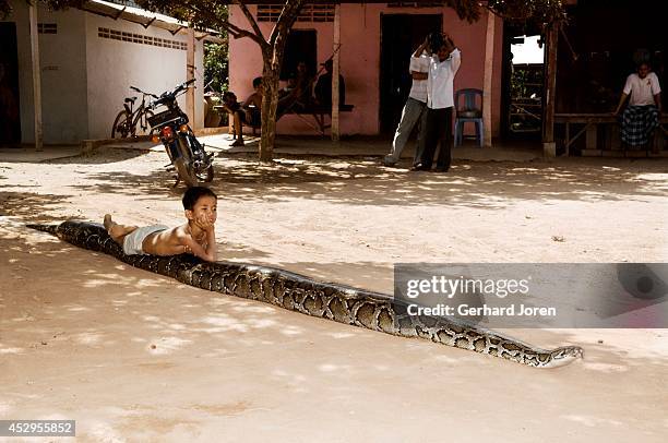 Cambodia Python Cambodia Python Photos and Premium High Res Pictures - Getty Images