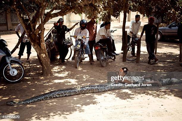 Cambodia Python Cambodia Python Photos and Premium High Res Pictures - Getty Images