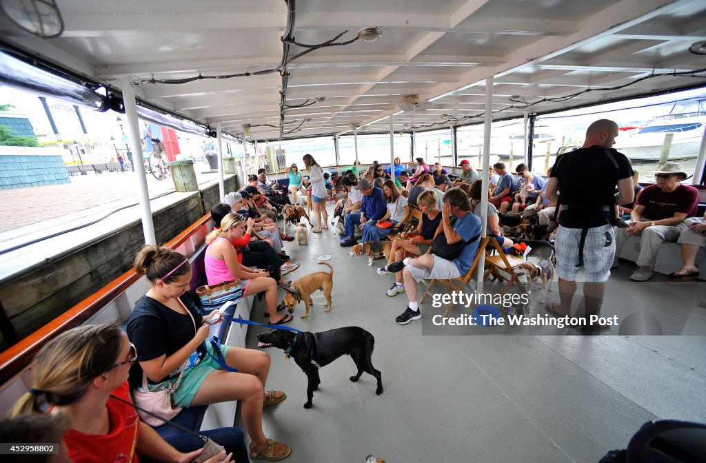 City Dogs Rescue's Canine Cruise