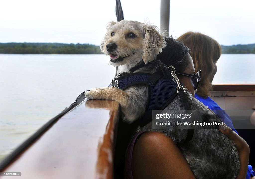 City Dogs Rescue's Canine Cruise