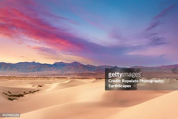 magic mesquite - parque nacional do vale da morte - fotografias e filmes do acervo