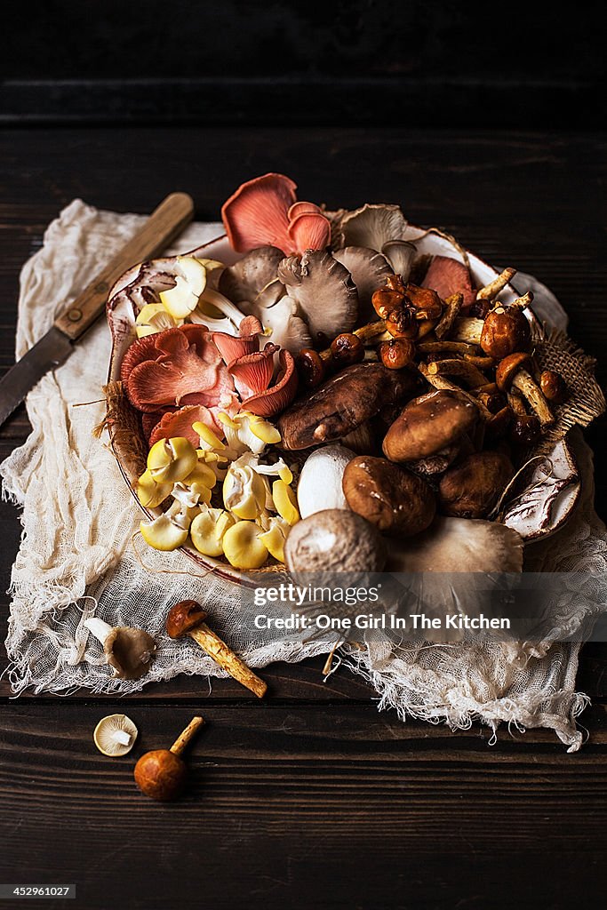 Plate of Mixed Mushrooms on Wooden Table