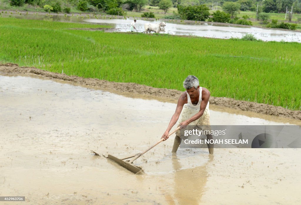 INDIA-ECONOMY-AGRICULTURE