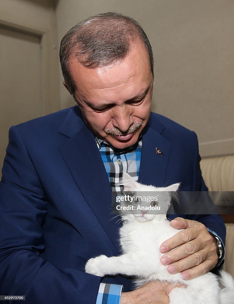 Turkish PM and Presidential Candidate Erdogan