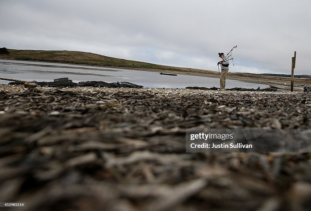 Drakes Bay Oyster Company Marks Closing After Feds Deny Use Of Federal Lands