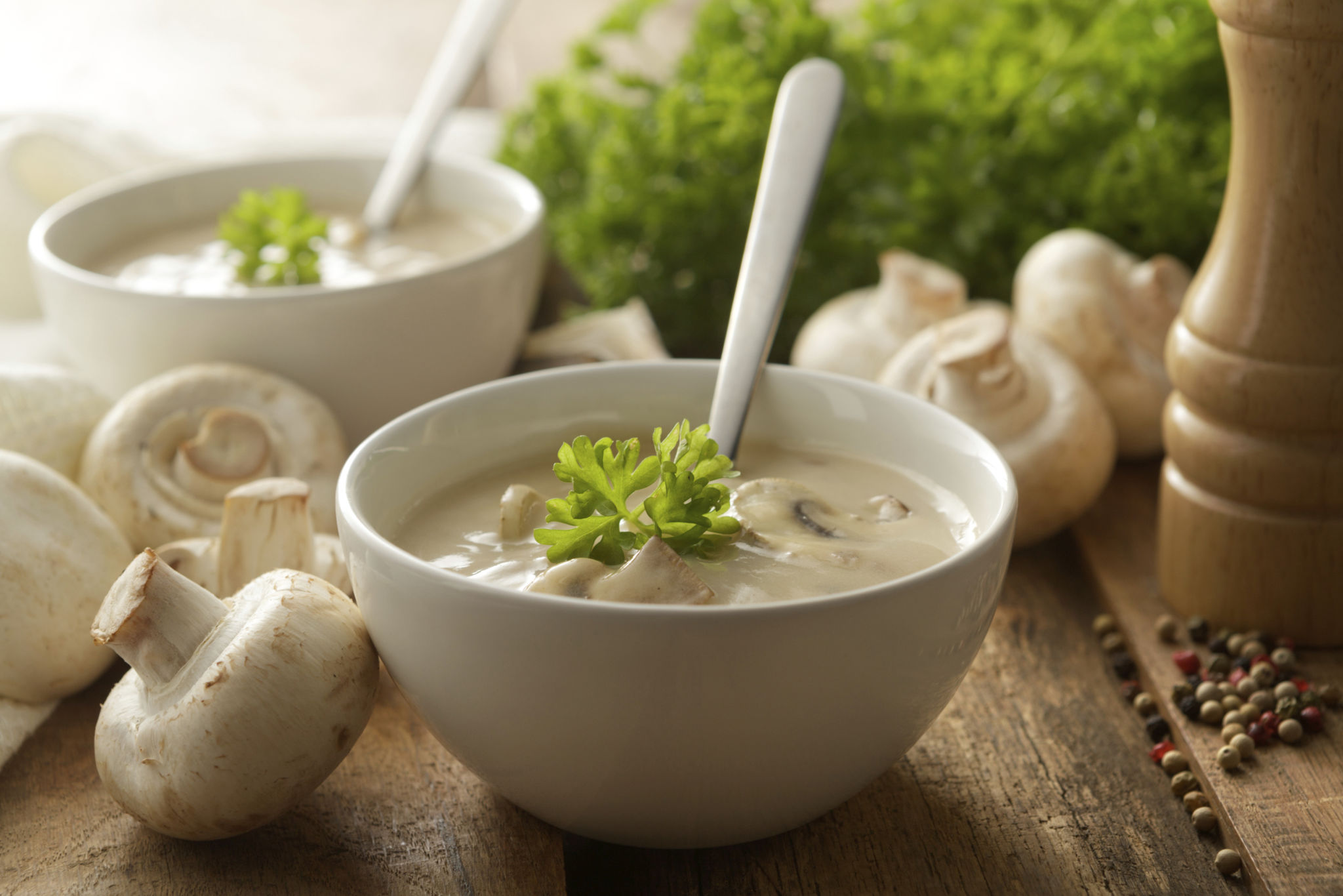 Soup Stills: Mushroom Soup Soup Stills: Mushroom Soup