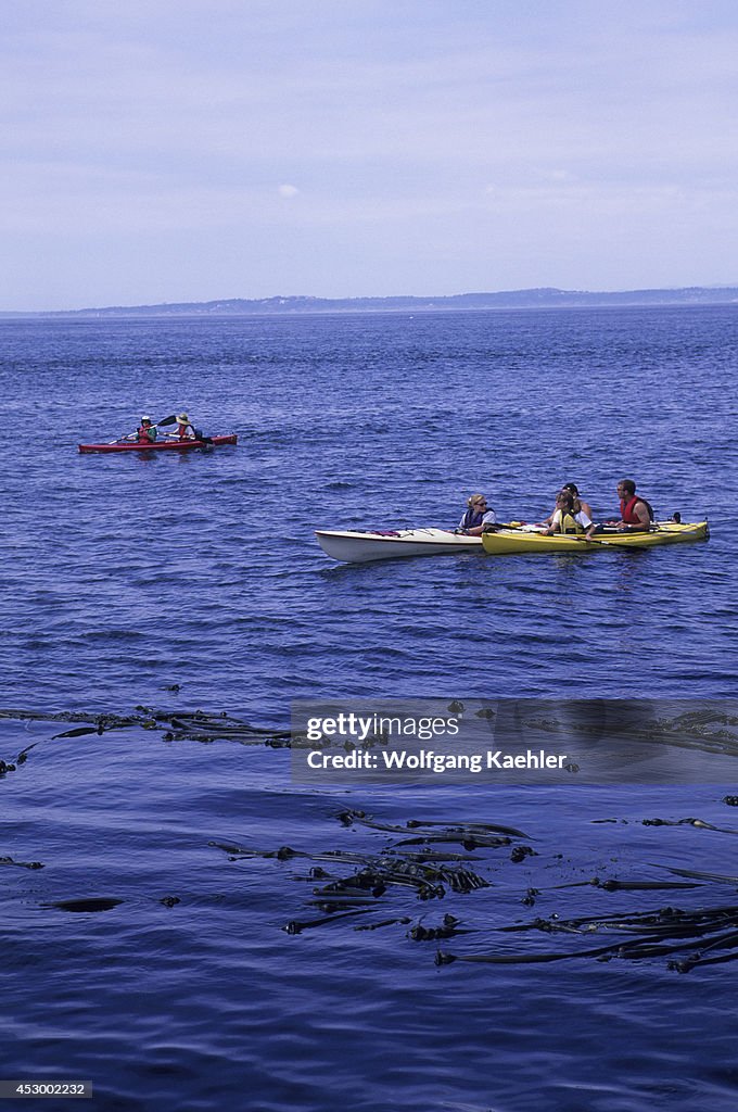 USA, Washington, San Juan Island, Lime Kiln Point State Park...