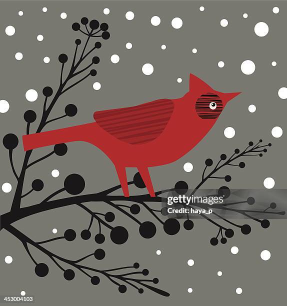 cardinal bird on branch and grey background - red socks stock illustrations