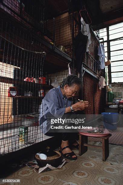 An 84-year old woman living in a cage bed in a crowded apartment in Mong Kok district in Hong Kong. She pays US$ 40 a month for two square meters,...