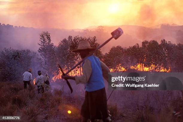 Madagascar, Near Mantasoa, Farmers Burning Land.