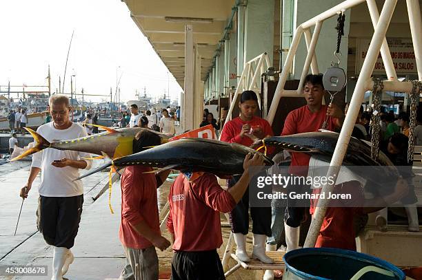 The Tuna fish market at the General Santos Fish Port Complex. The General Santos Fish Port Complex , covering an area of 11 hectares, south of...