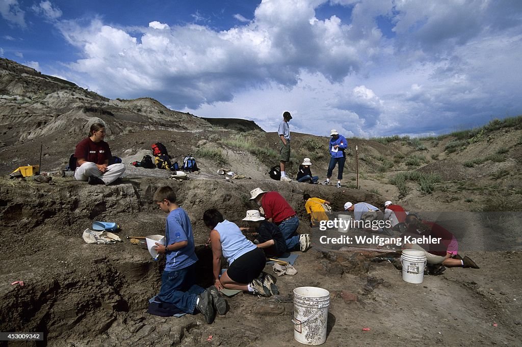 Canada, Alberta, Drumheller, Royal Tyrrell Museum, Tourists...