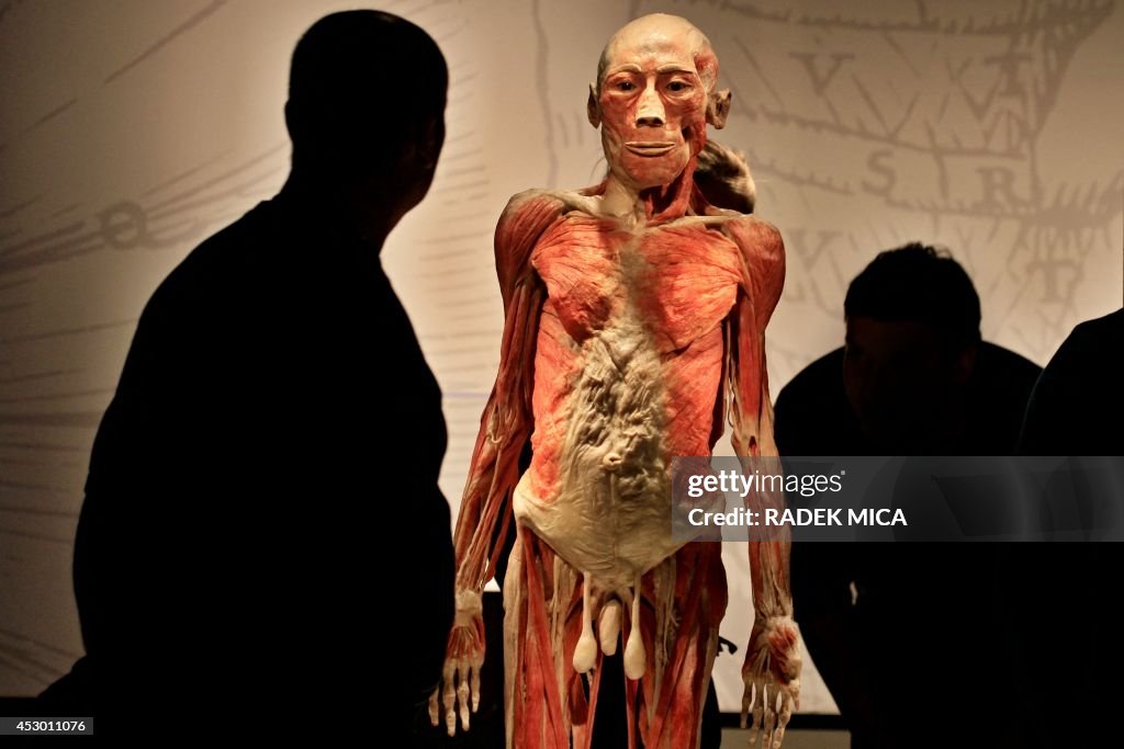 CZECH-EXHIBITION-BODIES-REVEALED