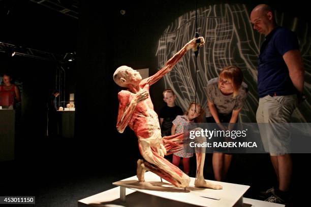 Visitors look at an exhibit at the show "Bodies Revealed" after it opened on August 1, 2014 in Brno, Czech Republic. The exhibition presenting human...