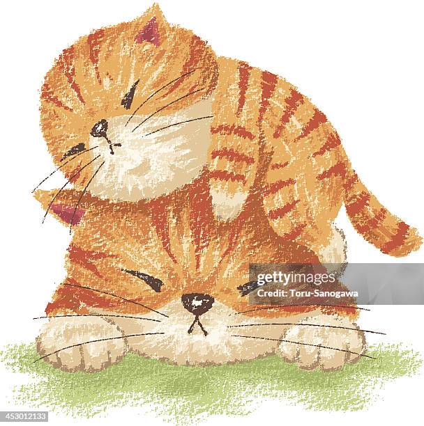 family of tabby - tabby stock illustrations