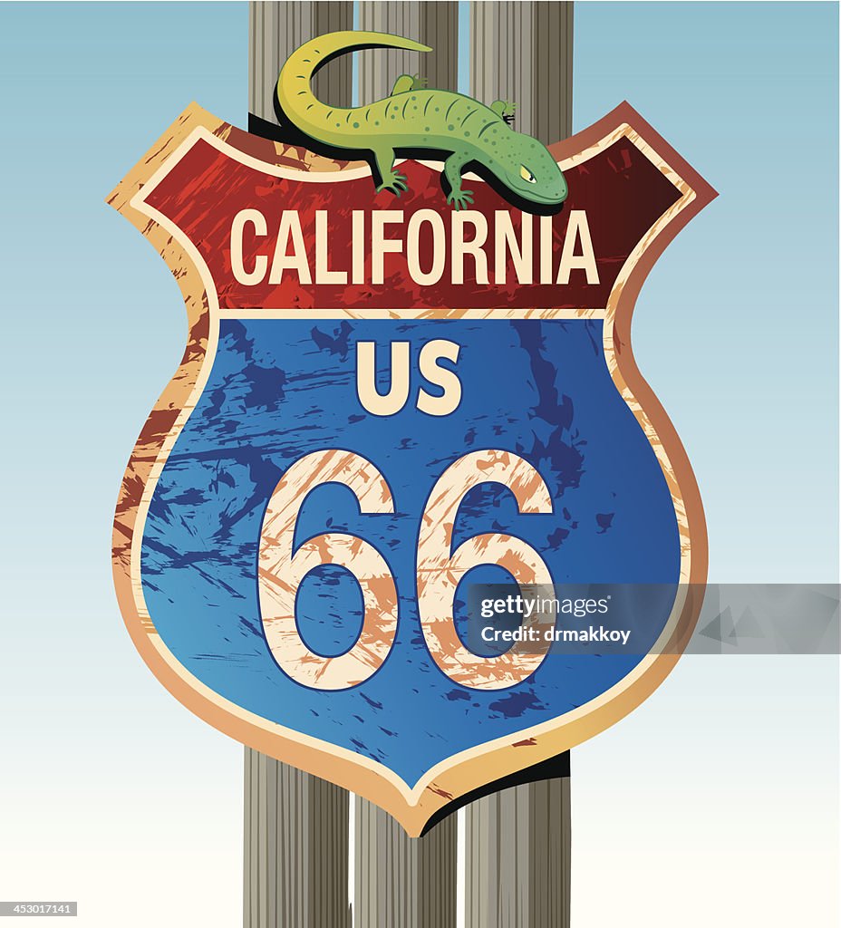 Road 66 and lizards