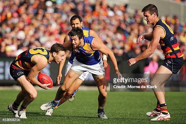 Brodie Smith of the Crows wins the ball during the round 19 AFL match between the Adelaide Crows and the West Coast Eagles at Adelaide Oval on August...
