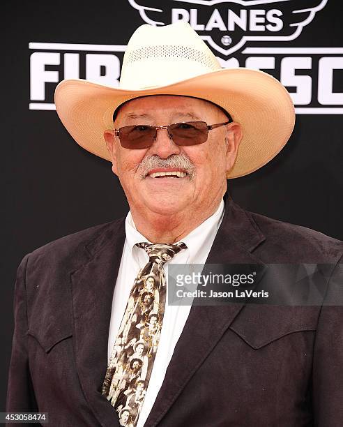 Actor Barry Corbin attends the premiere of "Planes: Fire & Rescue" at the El Capitan Theatre on July 15, 2014 in Hollywood, California.