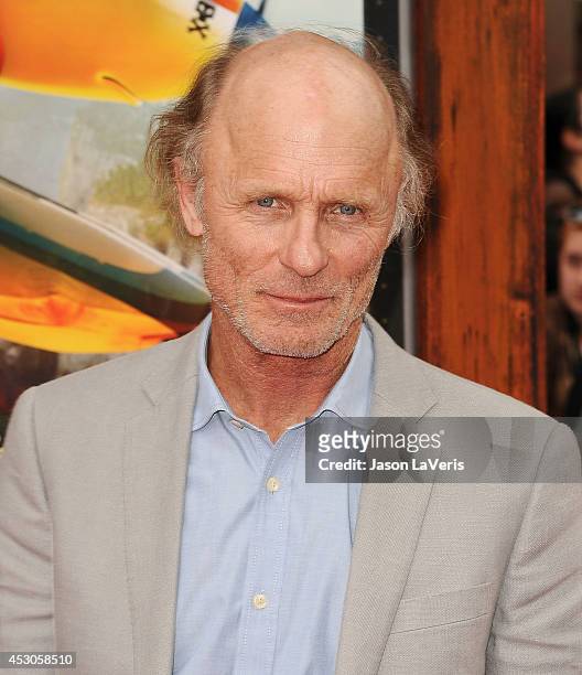 Actor Ed Harris attends the premiere of "Planes: Fire & Rescue" at the El Capitan Theatre on July 15, 2014 in Hollywood, California.