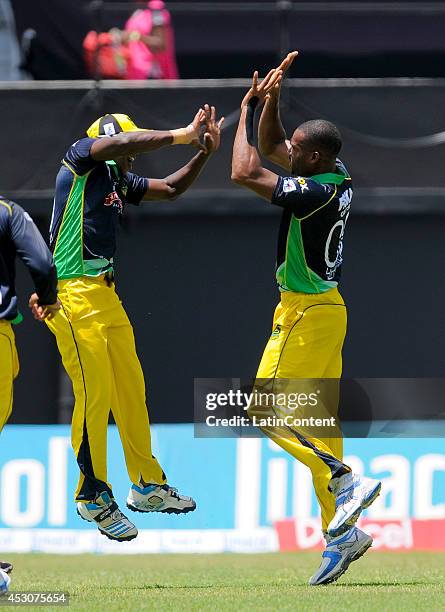 Dave Bernard Jr of Jamaica Tallawahs celebrates the dismissal of Mohammed Hafeez of Guyana Amazon Warriors during a match between Jamaica Tallawahs...