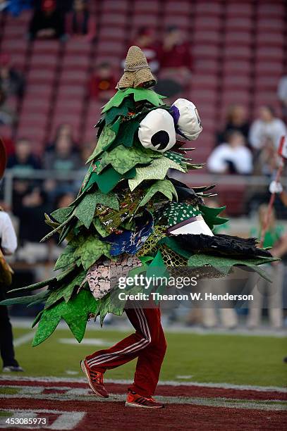 William Rothacker Jr Stanford Mascot Tree Photos and Premium High Res Pictures - Getty Images