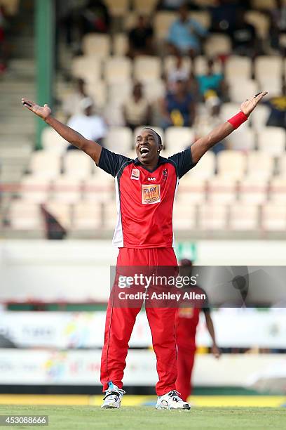 The Red Steel captain Dwayne Bravo celebrates after getting the wicket of St. Lucia Zouks captain Darren Sammy during a match between St. Lucia Zouks...