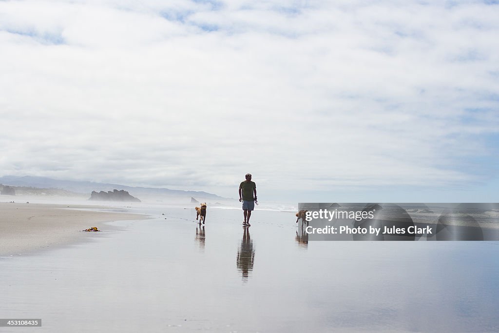 Walking on the beach with dogs