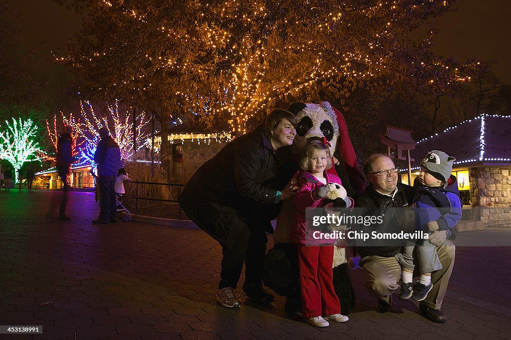 Smithsonian National Zoological Park Holds "Zoolights" Holiday Display