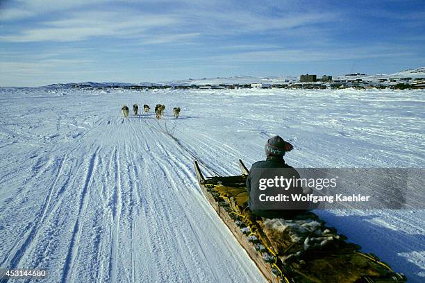 Canada, Nunavut, Baffin Island, Iqaluit, Dog Team Races, Team Approaching Finish Line.