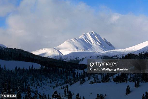 Un Tangles Photos and Premium High Res Pictures - Getty Images