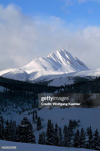 67 Un Tangles Stock Photos, High-Res Pictures, and Images - Getty Images