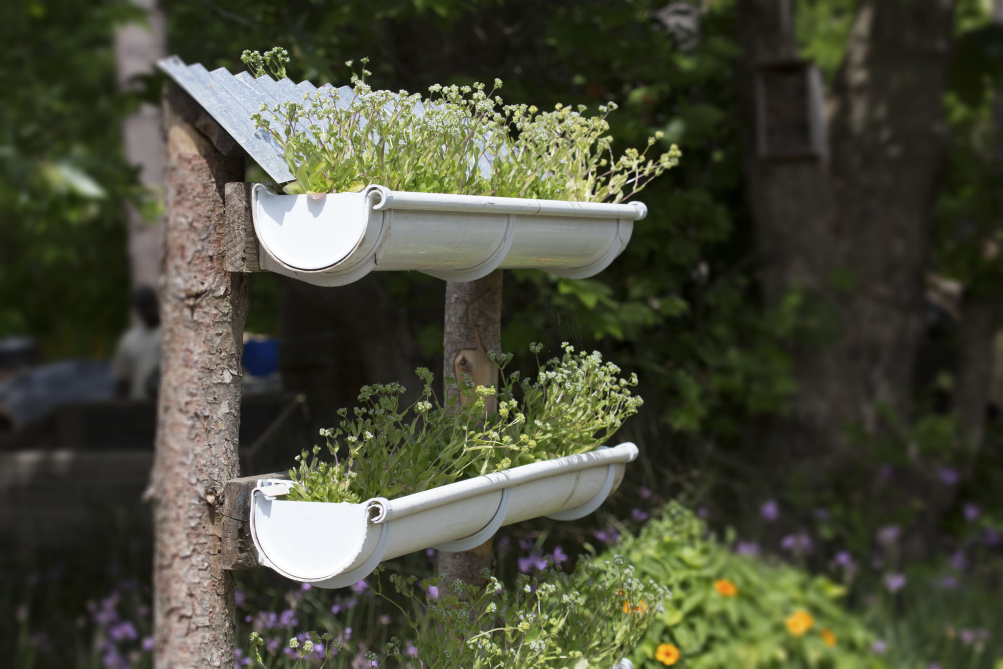 recycling garden