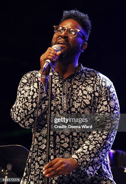 Chris Turner performs at Summerstage at SummerStage at Rumsey Playfield, Central Park on August 3, 2014 in New York City.
