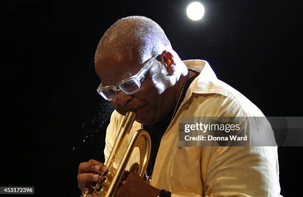 Terence Blanchard performs at Summerstage at SummerStage at Rumsey Playfield, Central Park on August 3, 2014 in New York City.