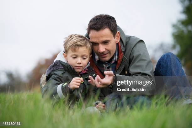 father and son examining insect - role model stock pictures, royalty-free photos & images