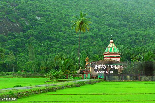 bhoomi devi temple- chendia-karnataka - karnataka stock pictures, royalty-free photos & images