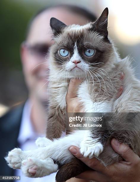 Grumpy Cat arrives at "The Grumpy Guide To Life: Observations By Grumpy Cat" Book Launch Party at Kitson on August 4, 2014 in Santa Monica,...