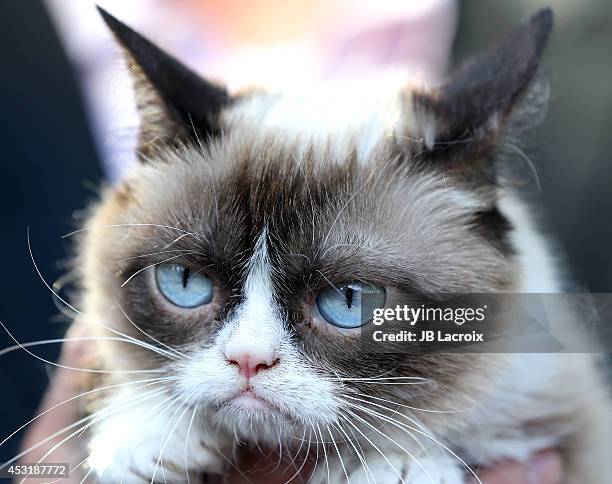 Grumpy Cat arrives at "The Grumpy Guide To Life: Observations By Grumpy Cat" Book Launch Party at Kitson on August 4, 2014 in Santa Monica,...