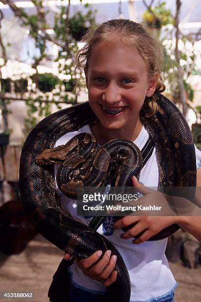 Mexico, Baja California, La Paz, Serpentarium, Girl With Boa Constrictor , Model Release 20020923-7.