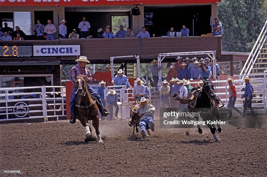 Canada, Alberta, Calgary, Calgary Stampede, Stampede Scene,...