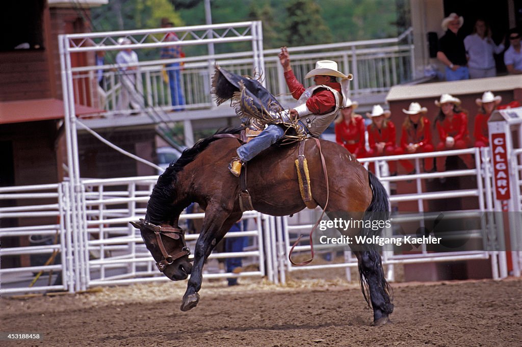 Canada, Alberta, Calgary, Calgary Stampede, Stampede Scene,...