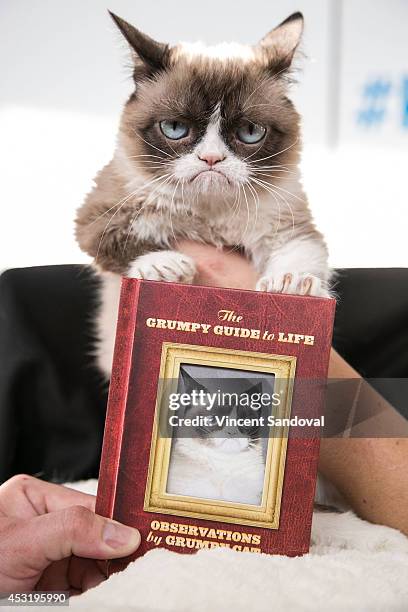 Grumpy Cat attends "The Grumpy Guide To Life: Observations By Grumpy Cat" book launch party at Kitson Santa Monica on August 4, 2014 in Santa Monica,...