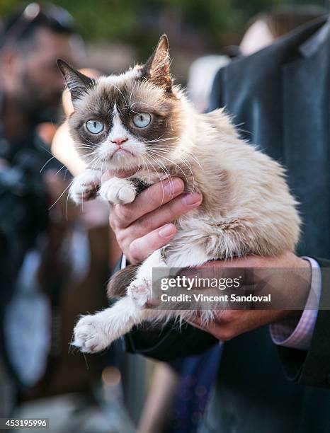 Grumpy Cat attends "The Grumpy Guide To Life: Observations By Grumpy Cat" book launch party at Kitson Santa Monica on August 4, 2014 in Santa Monica,...